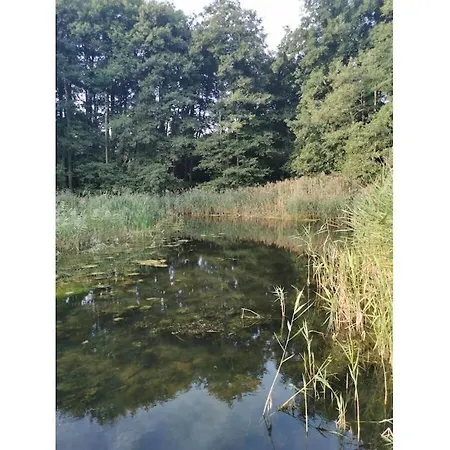 Nature Neumuehle Schwerin (Mecklenburg-Vorpommern)