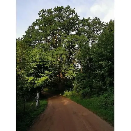 Nature Neumuehle Schwerin (Mecklenburg-Vorpommern)