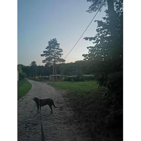 Nature Neumuehle * Schwerin (Mecklenburg-Vorpommern)
